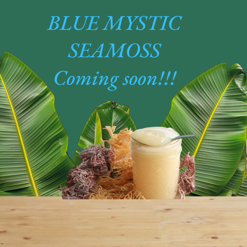 Blue Mystic Skincare Seamoss