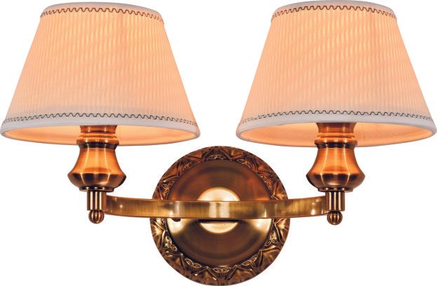 2005W18SB   18X11  2 LIGHT  SHINNY BRONZE