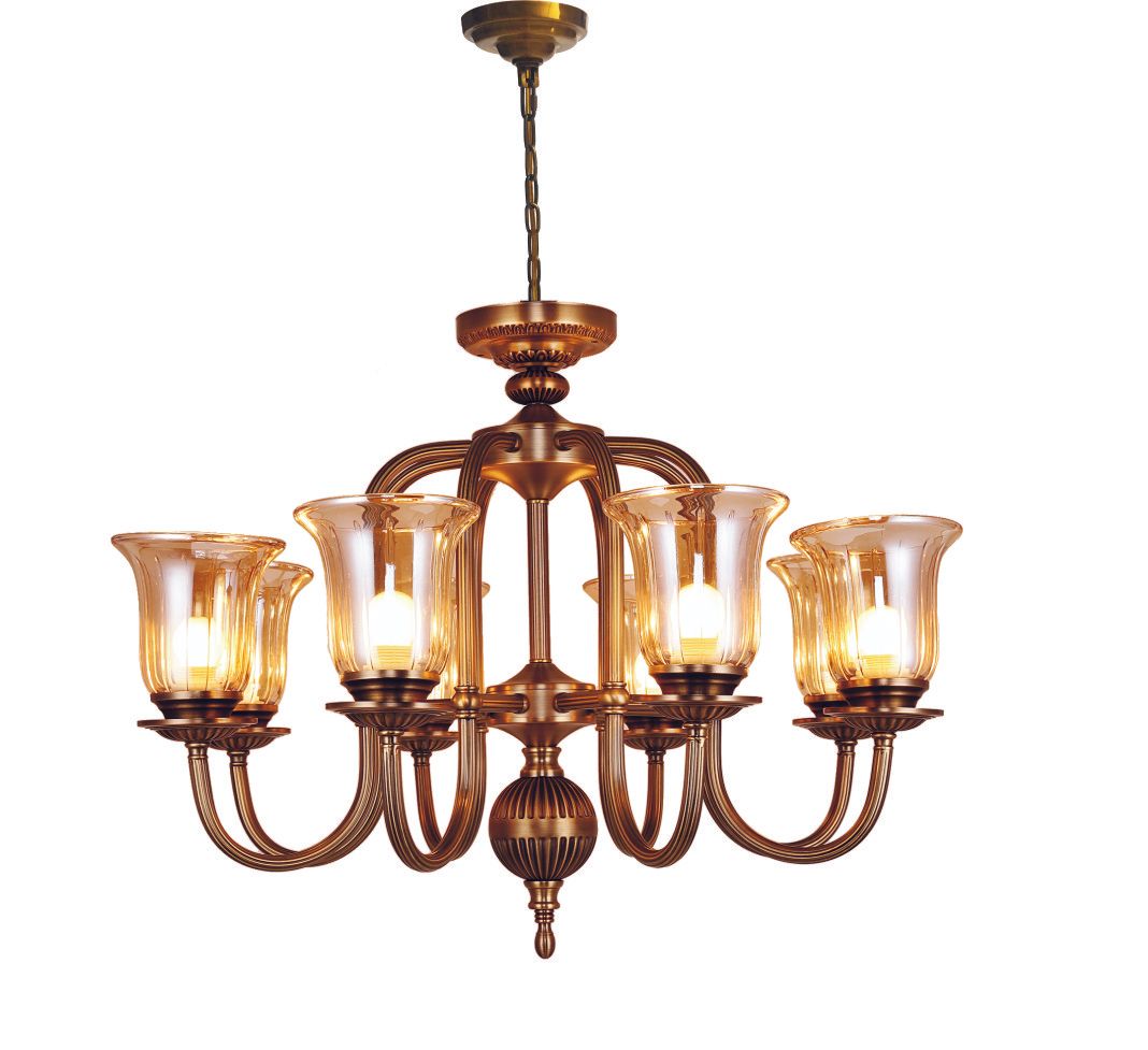 2004W34B  34X23  8 LIGHT   BRONZE
