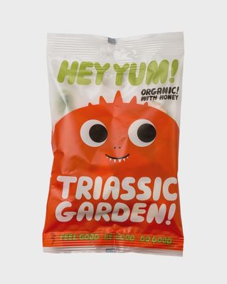 100g HEY YUM! "Triassic Garden" Organic Fruit Marshmallows