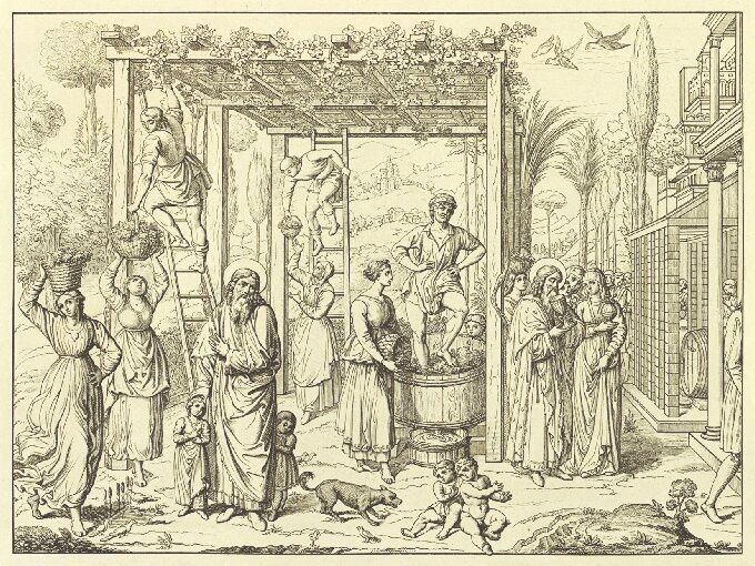 Golden Cluster Vinous OBscura Sacris Sagrantino 750mL