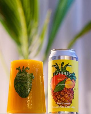 14.9oz- C Ārpus Brewing Co. "Fruitheart Smoothie" Sour Ale