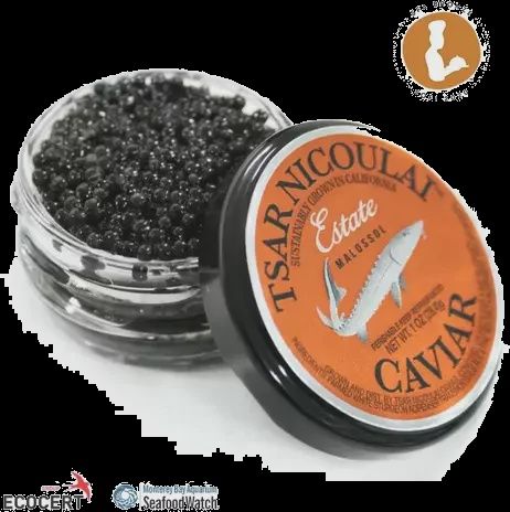 PRE-ORDER 30g Tsar Nicoulai Estate Sturgeon Caviar