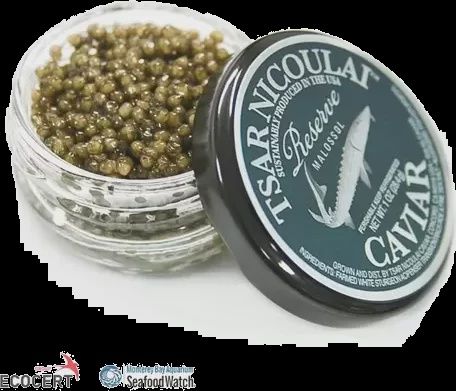 PRE-ORDER 30g Tsar Nicoulai Reserve Sturgeon Caviar