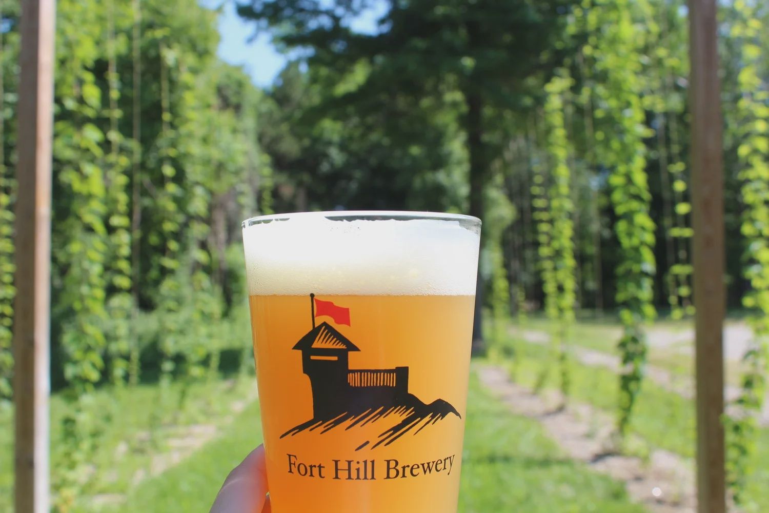 12oz-C Fort Hill "Lager Beer" Festbier
