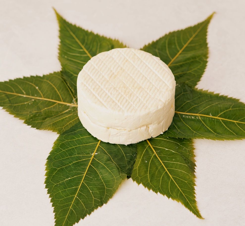 6oz Holiday Cheer Blakesville Creamery