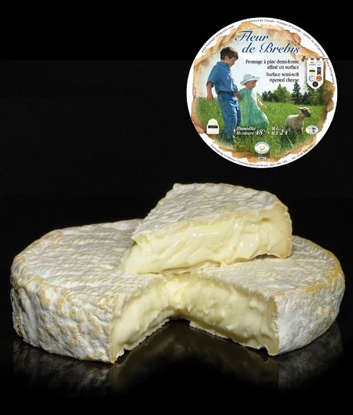 Brie de Brebis Fromagerie Le Detour