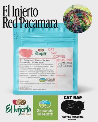 250g Cat Nap Coffee Roasting "El Injerto Red Pacamara Guatemala" Washed Process