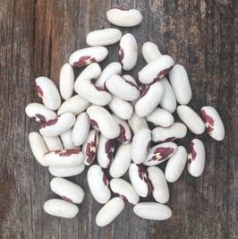 1lb Baer's Best "Dried Soldier Beans"