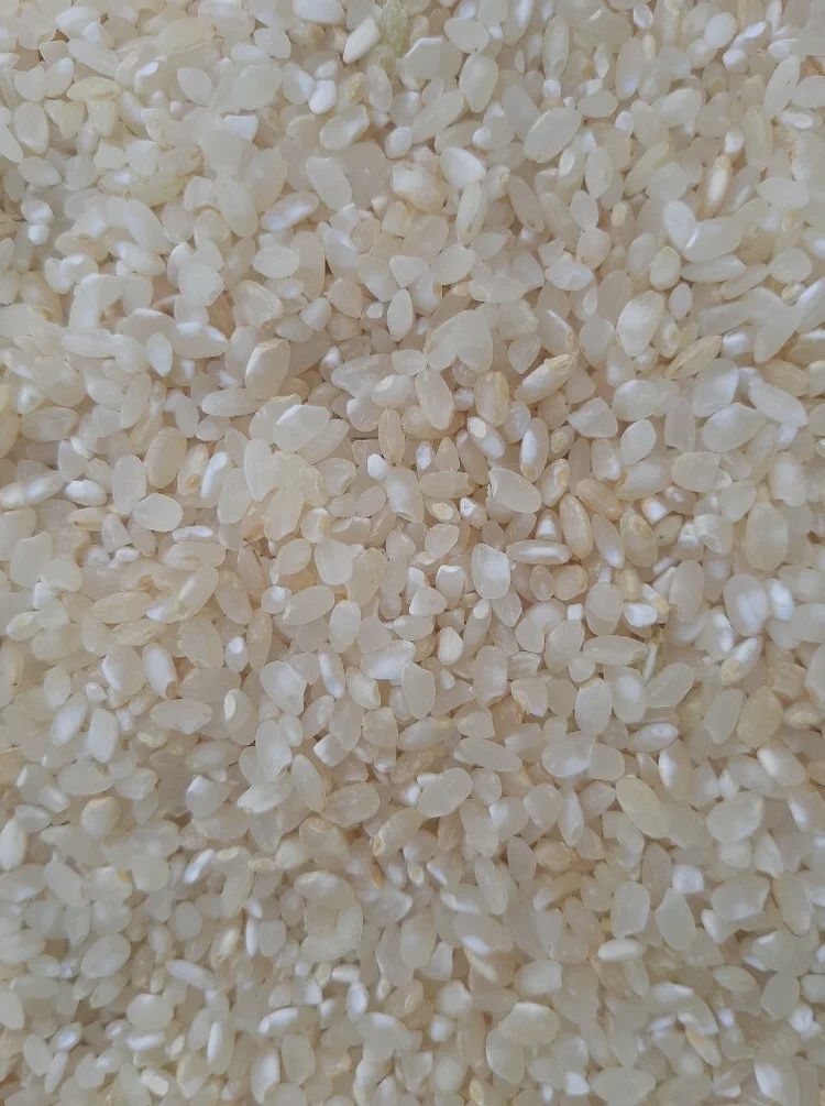 1lb Oborozuki Haigamai Rice Semi-Polished Boundbrook Farm