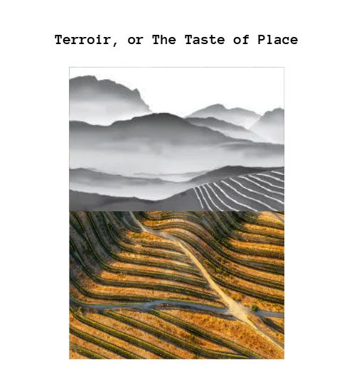 Wine Class: "Terroir, or The Taste of Place" - September 30th
