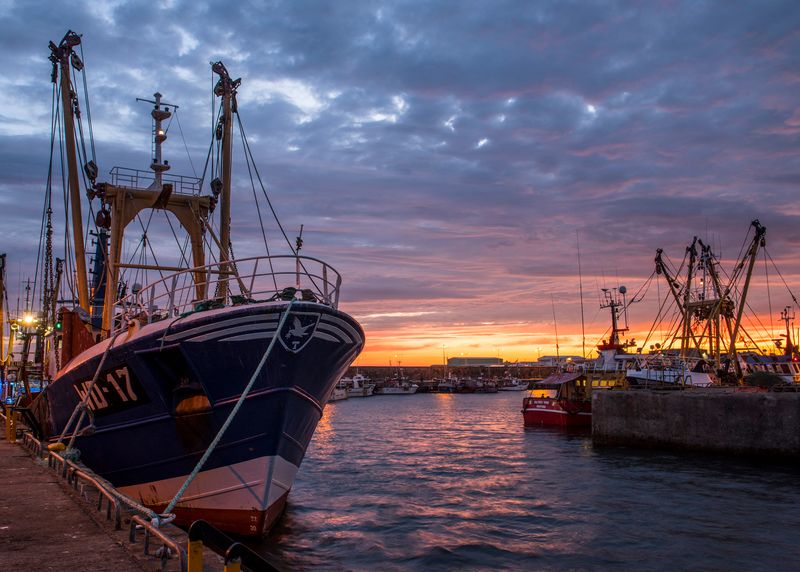 Mary Jane taken after Sunset