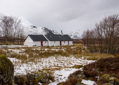 Little Cottage