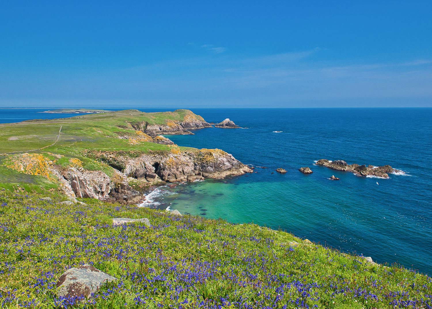 Saltee Islands