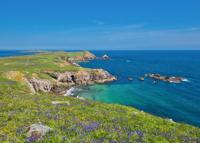Saltee Islands