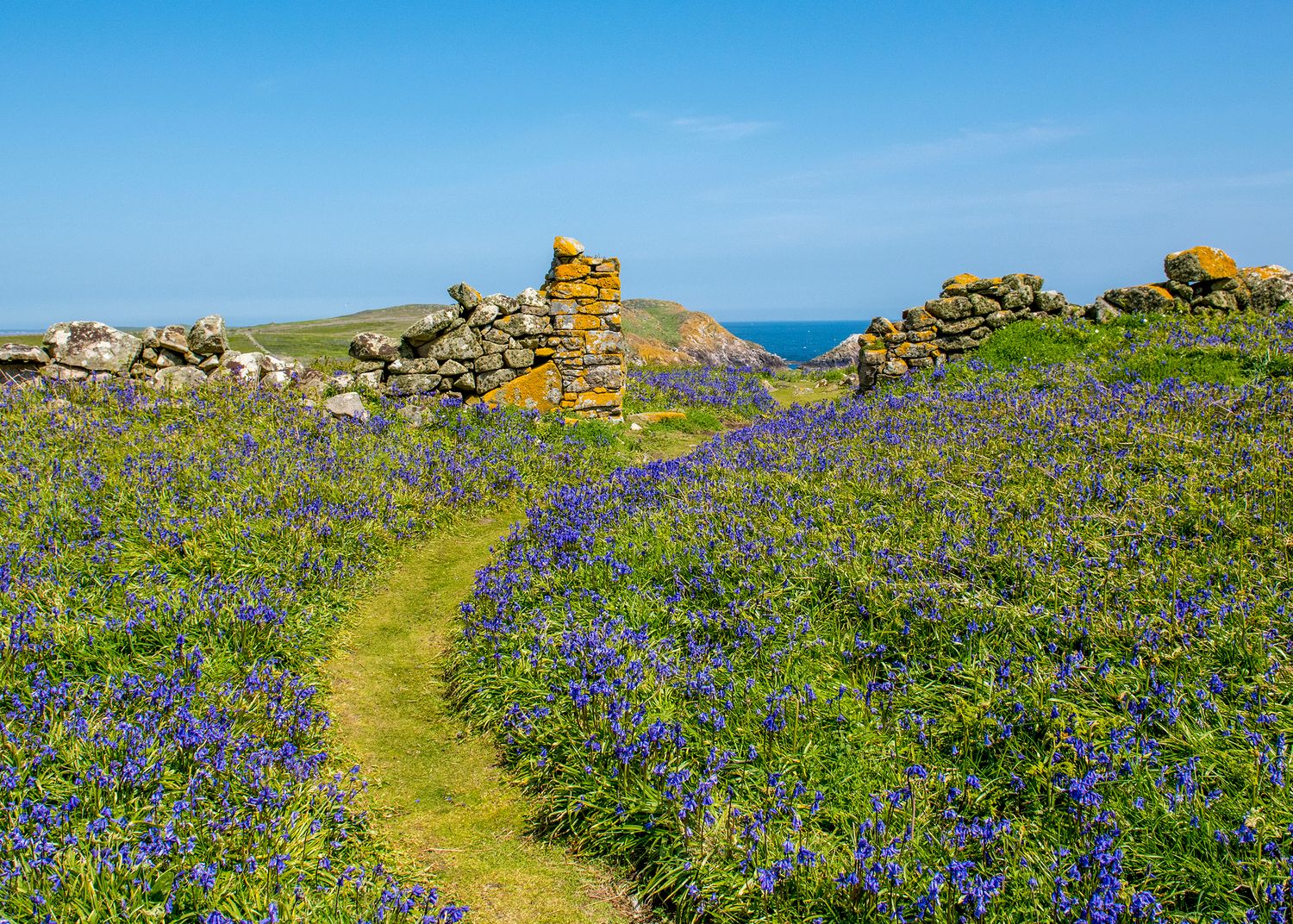 Saltee Islands