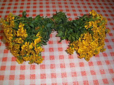 Surowce zielarskie
