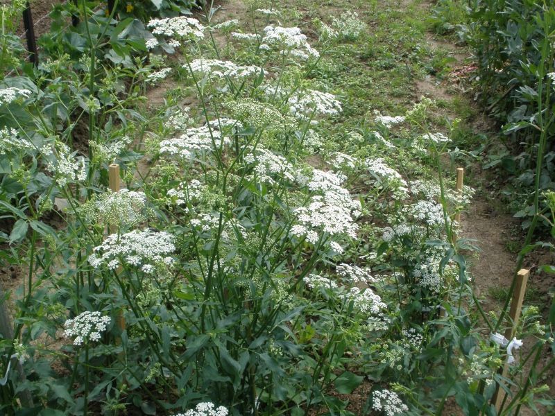 Marek Kucmerka 100 nasion 2024