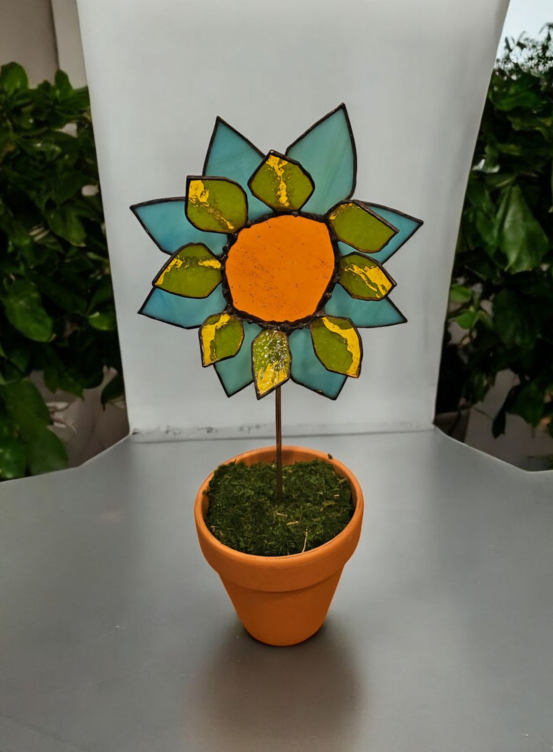 Turquoise Sunflower Turquoise Sunflower