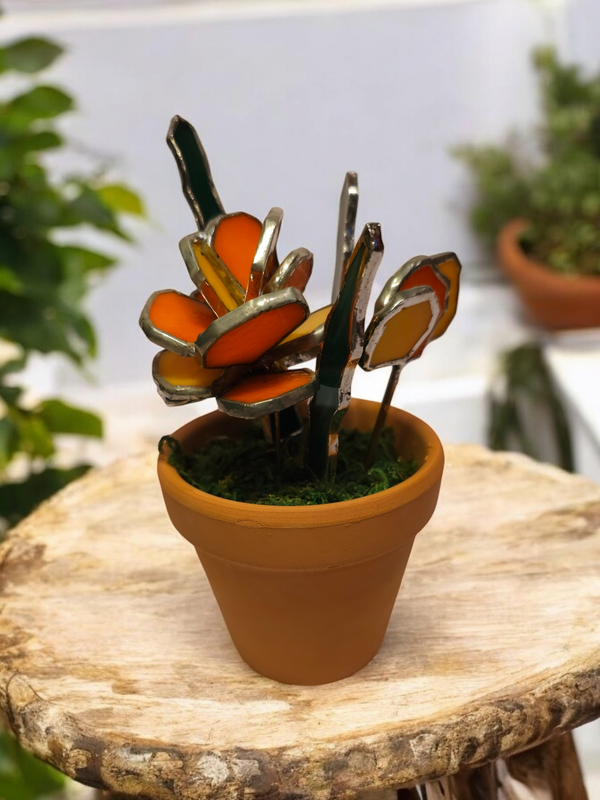 Marigolds