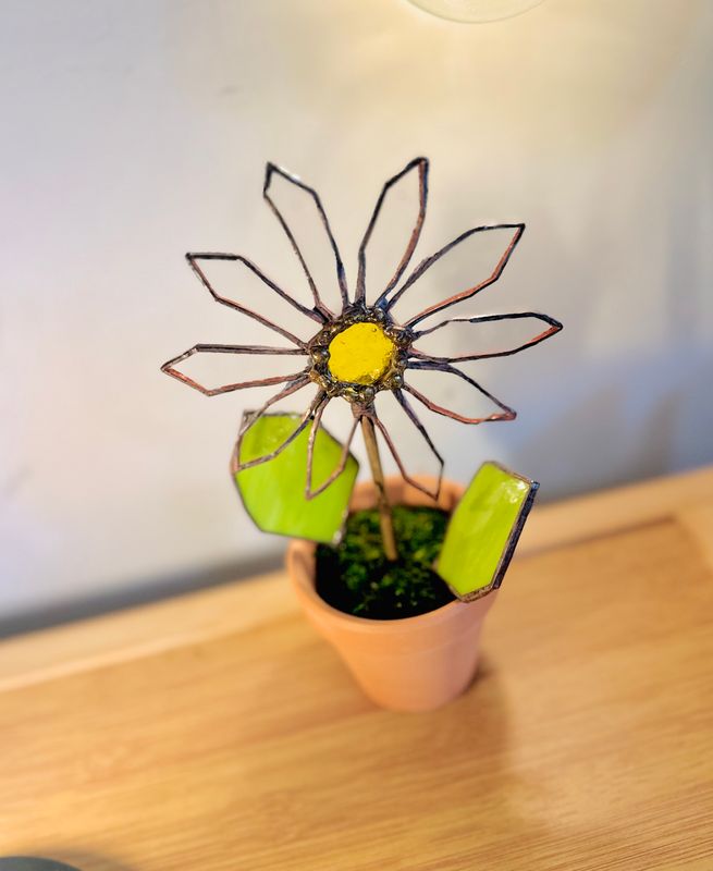 Daisy