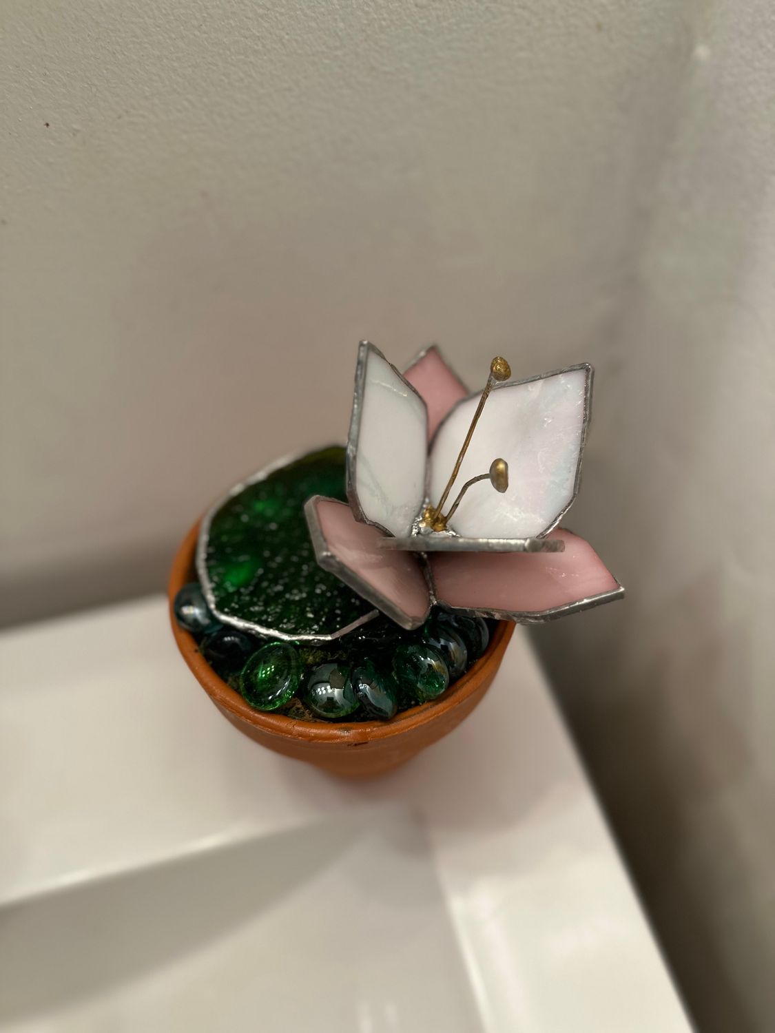 Water Lily Flower