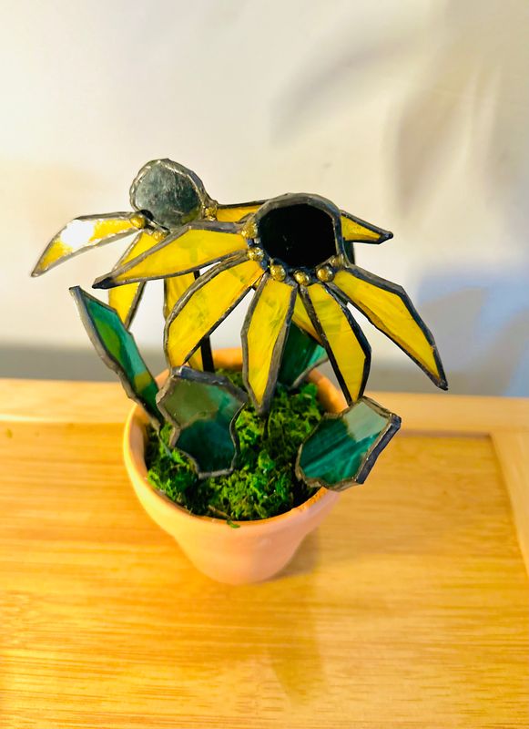Black Eyed Susan