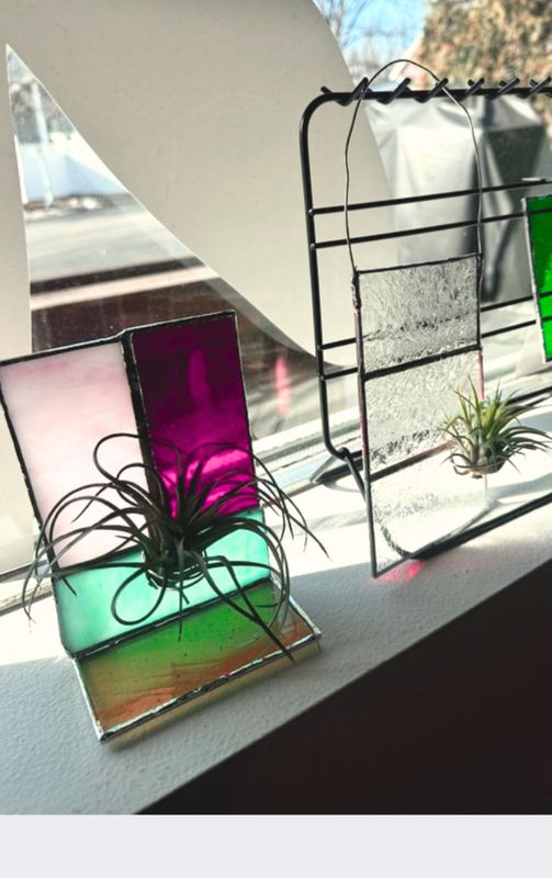 Air Plant Workshop Saturday August 2nd 12pm12pm at Split Leaf Co.