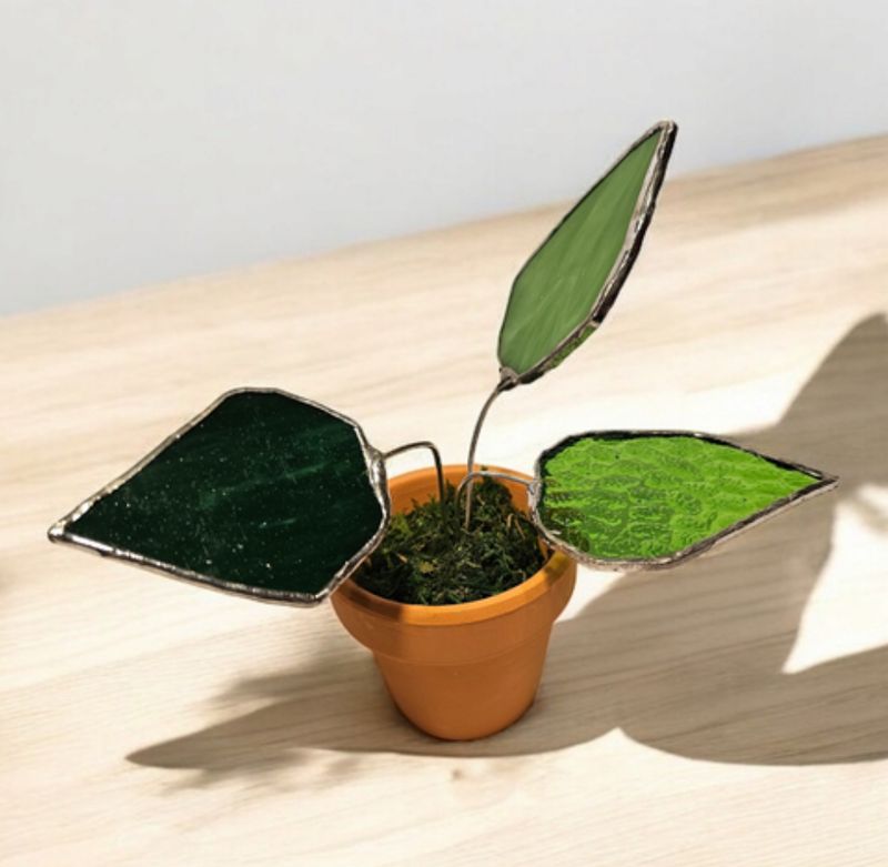 All Green Pothos