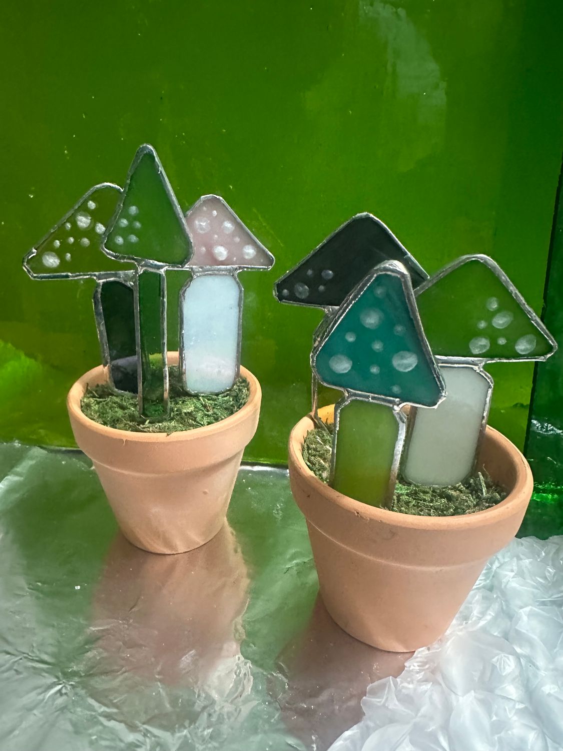 Mushroom Workshop Saturday July 12th 12p-2pm at Split Leaf Co. in Loveland, OH