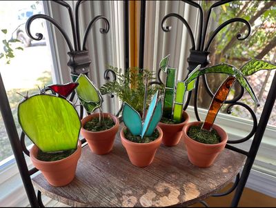 Plants