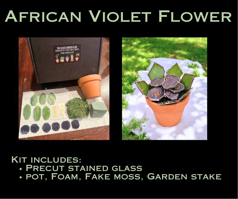 DIY African Violet Flower