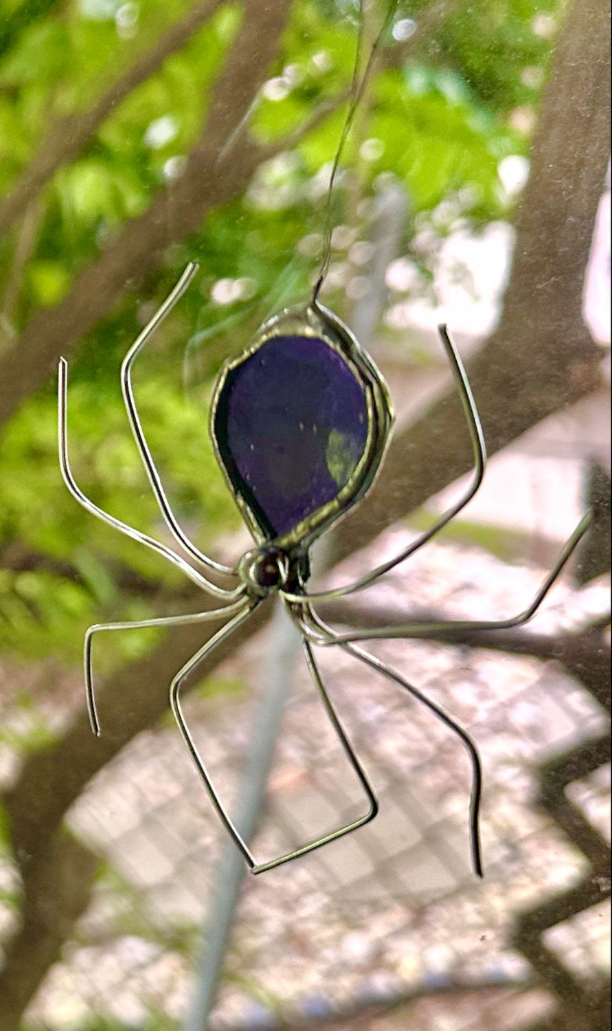 Spider