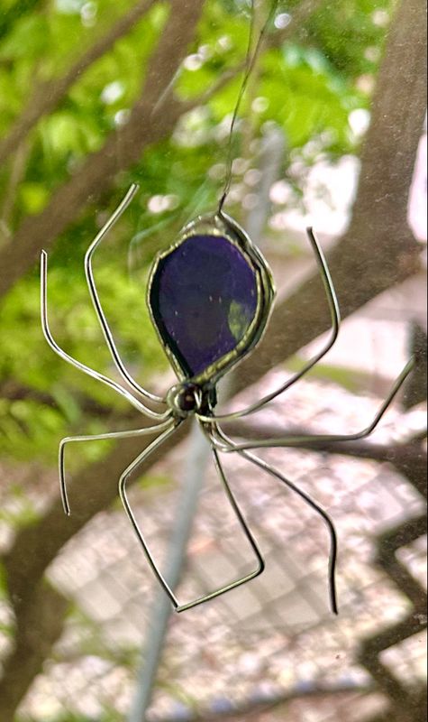 Spider