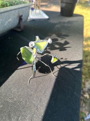 Garden Insects