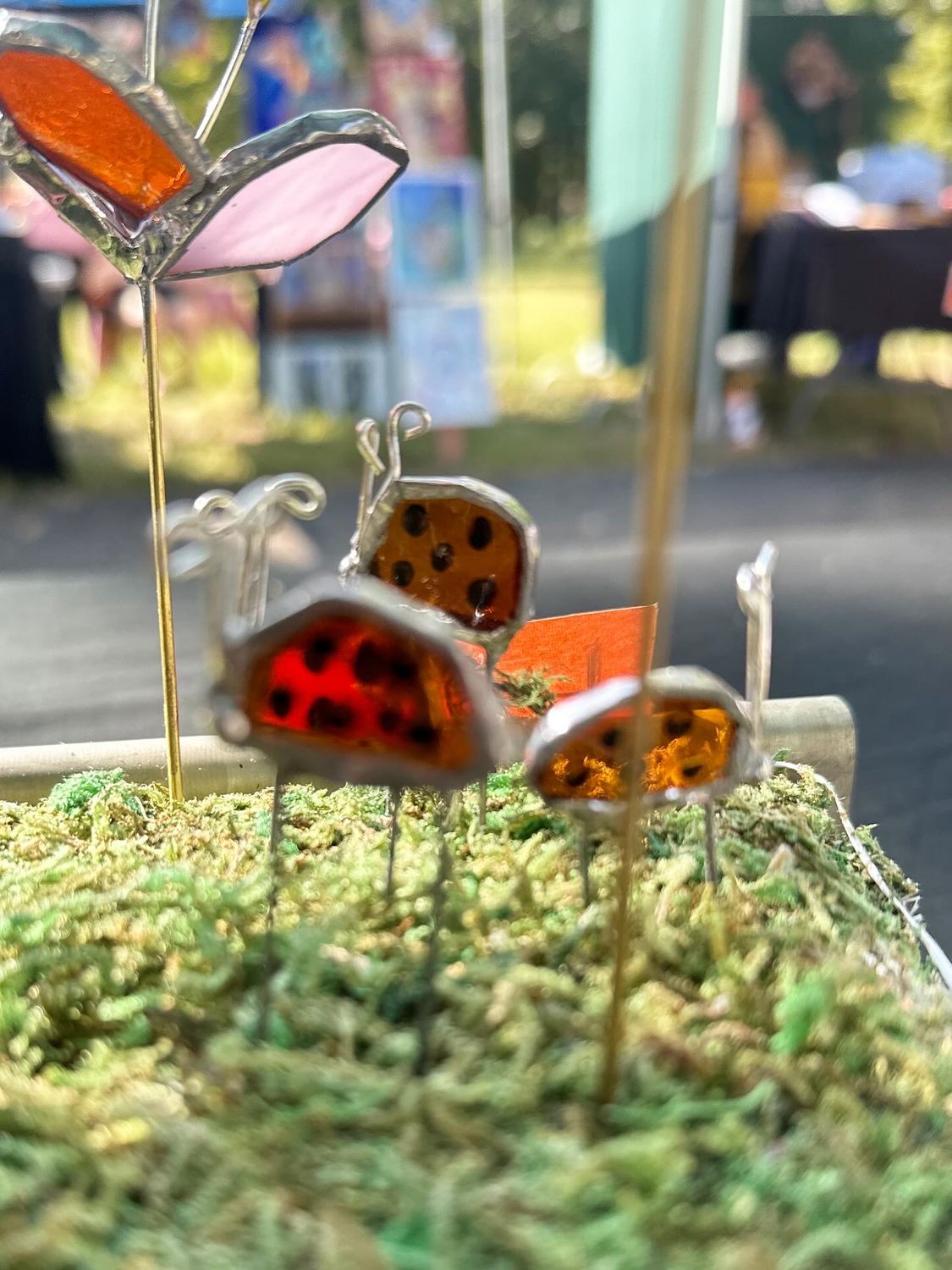Lady Bug