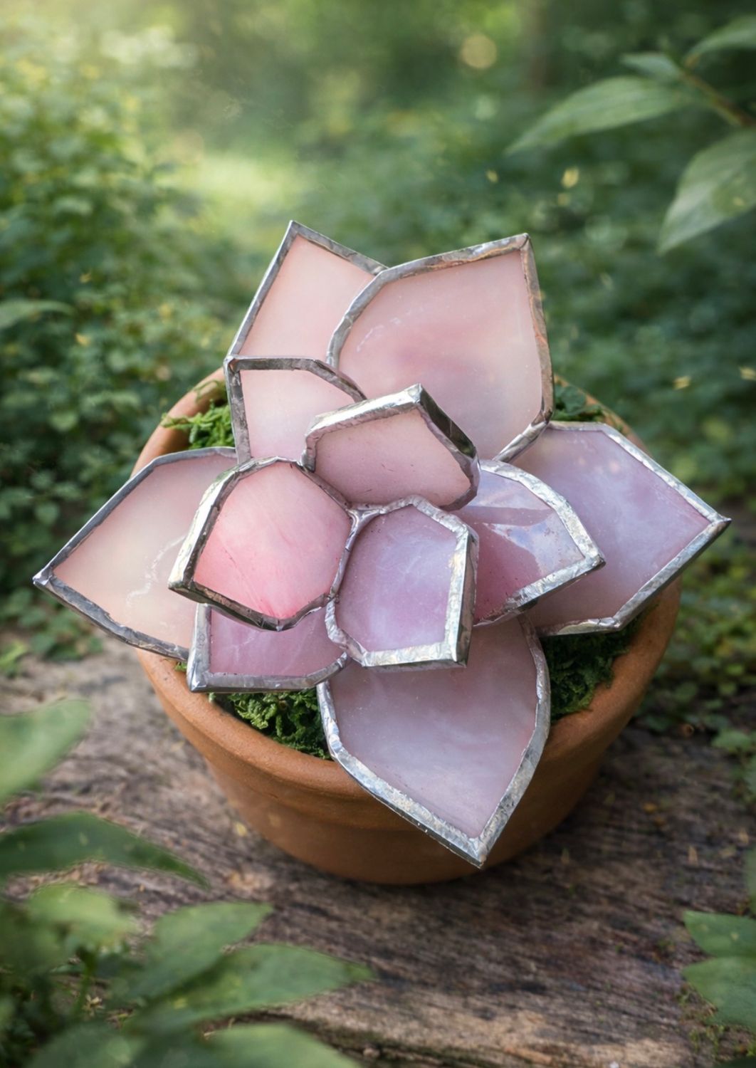 Succulent Opaque Pink