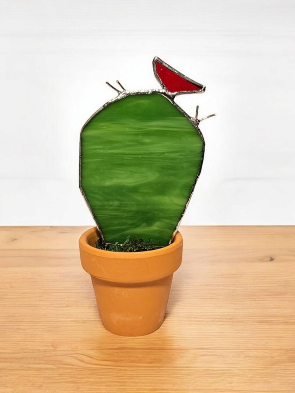 Cactus- Prickly Pear Cactus- Prickly Pear