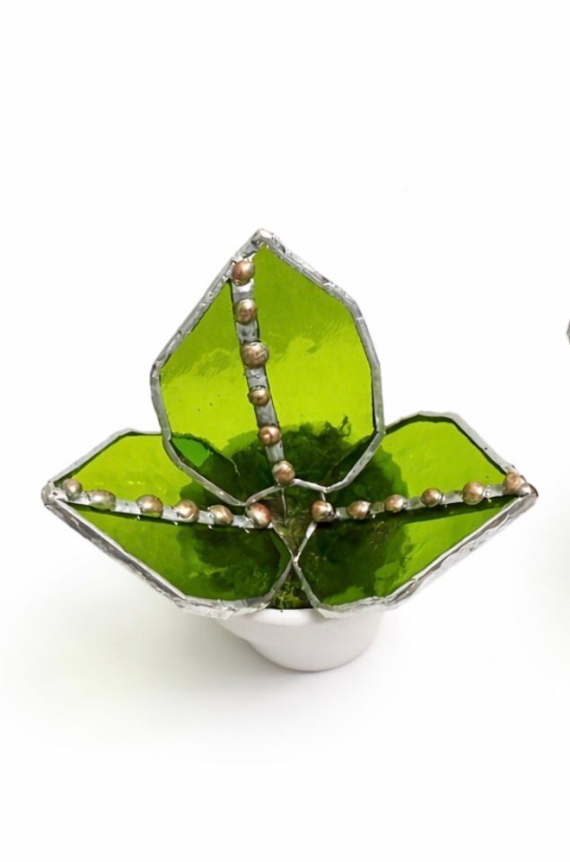 Bright Lime Green Pothos