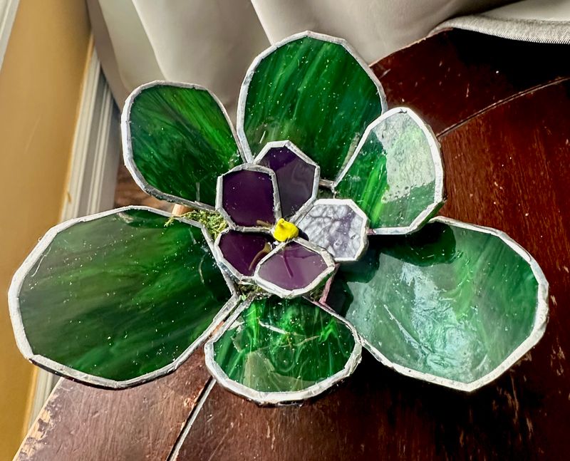 February: African Violet