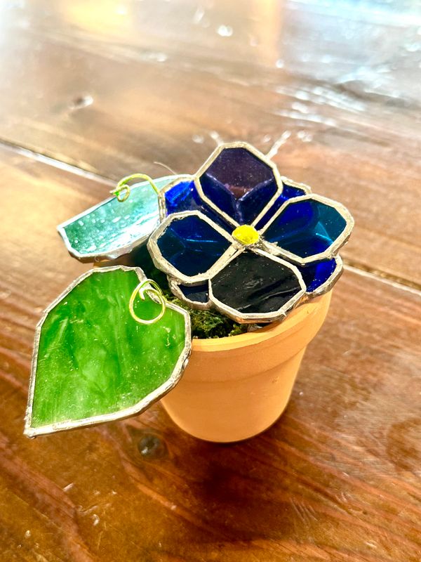 September: Morning Glory