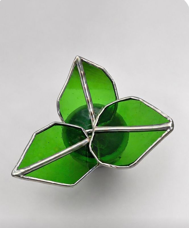 Pothos Plant Workshop: 12pm-2pm at Split Leaf Co.