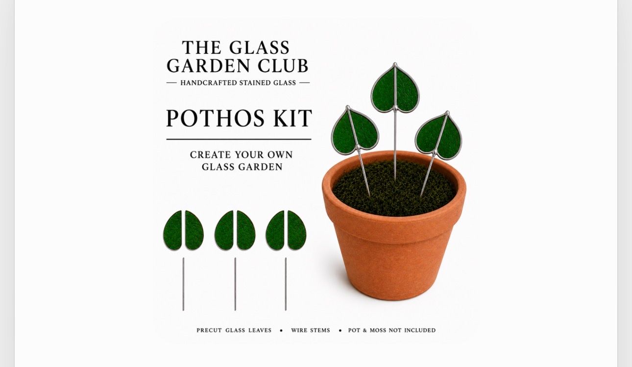 Kit : Pothos Plant Opaque Dark Green