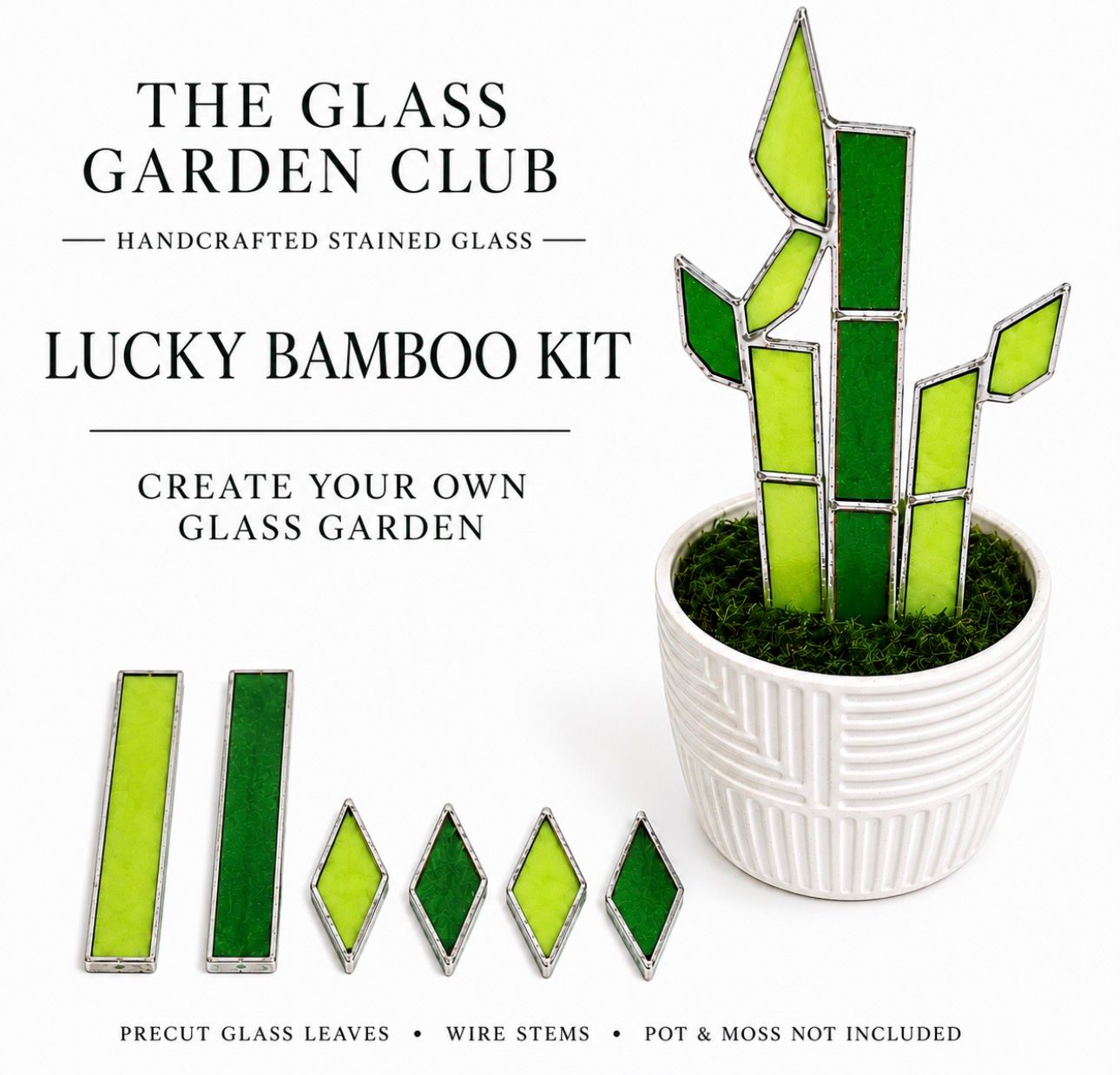 Kit: Lucky Bamboo