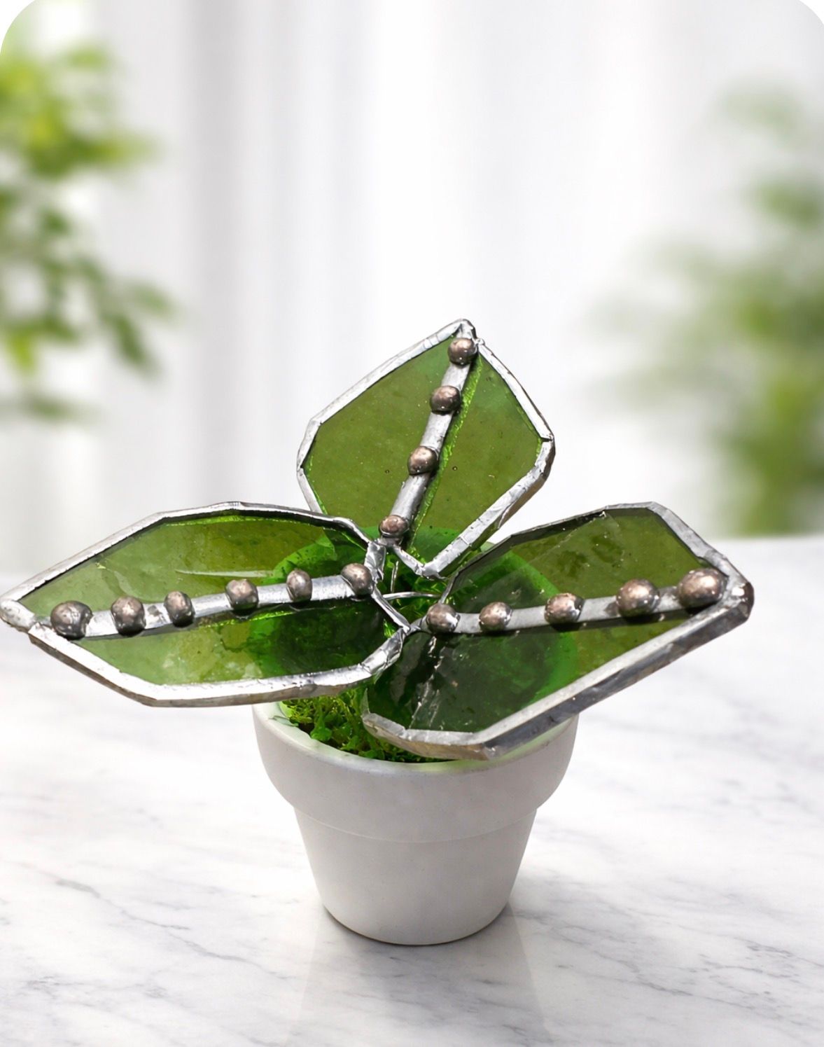 Bright Kelly Green Pothos