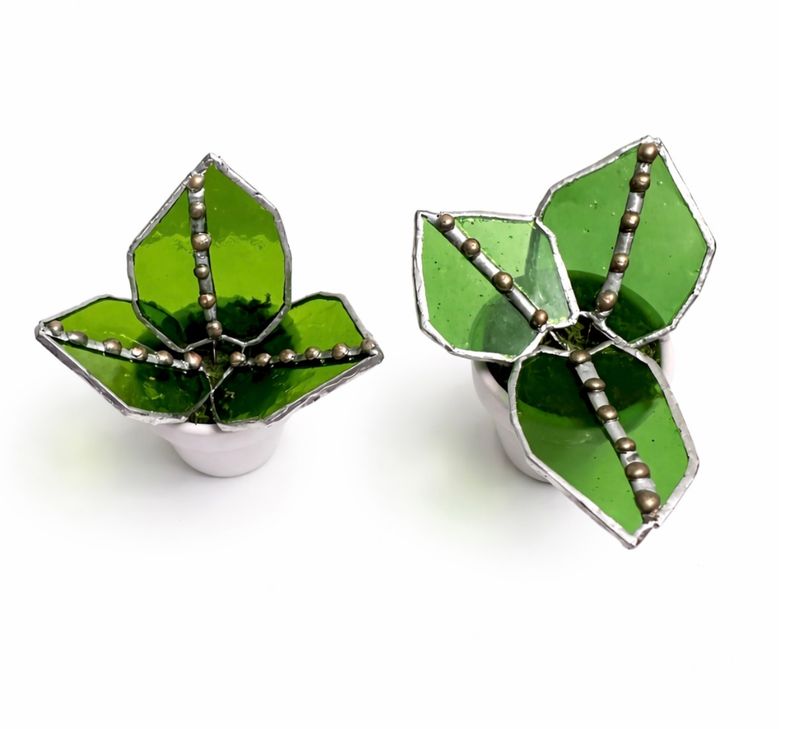 Bright Kelly Green Pothos