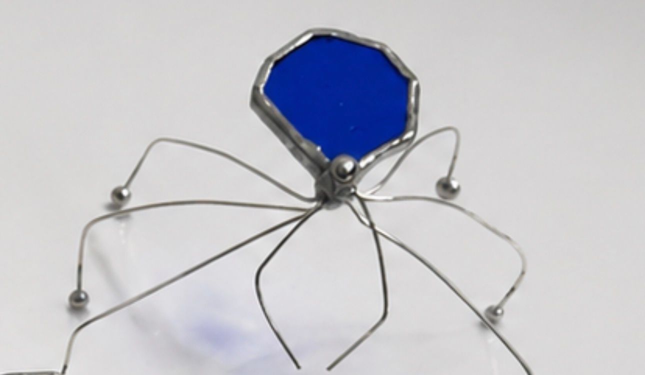 Spider - Transparent Royal Blue