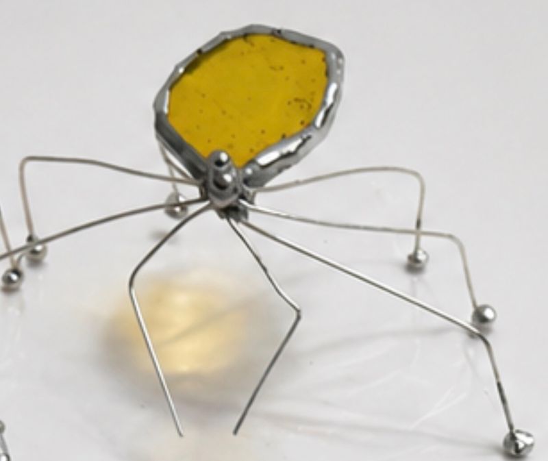 Spider -Transparent Yellow Spider -Transparent Yellow