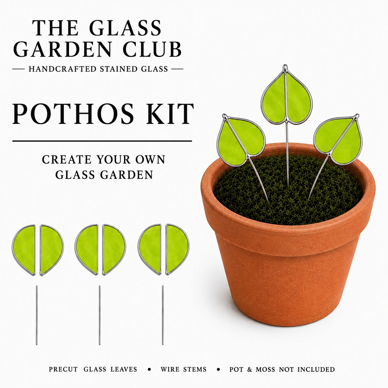 Kit: Pothos Opaque Lime Green