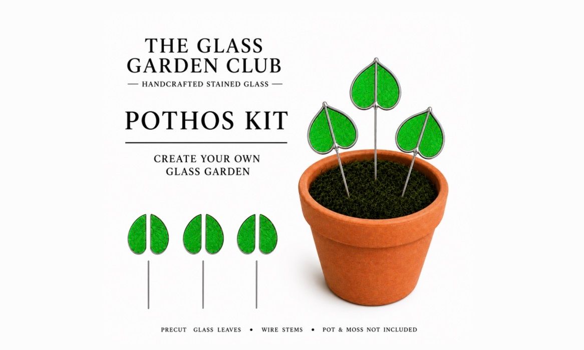 Kit: Pothos Transparent textured Kelly green